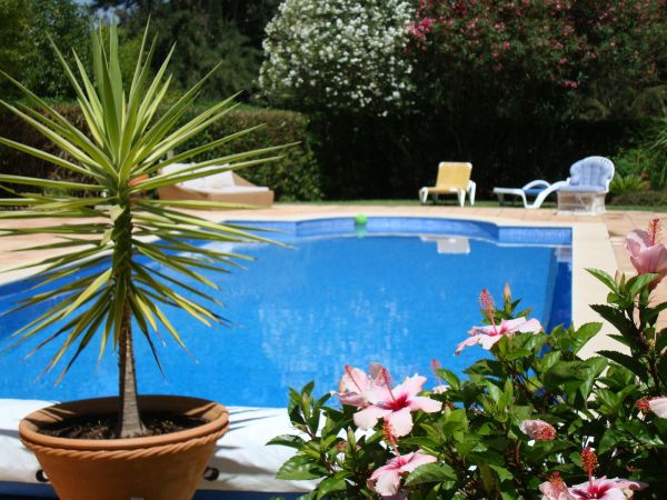 Pool Terrace Renovation in Kirkland
