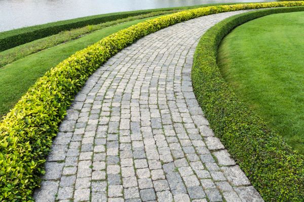 Sidewalk Pavers Installation in Kirkland