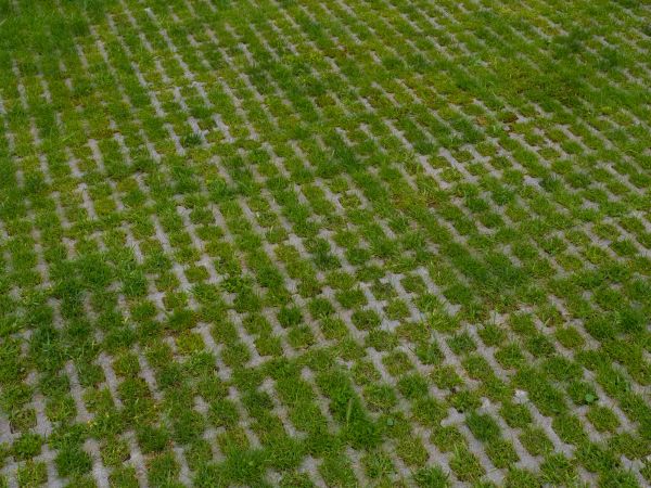 Permeable Pavement Service in Kirkland